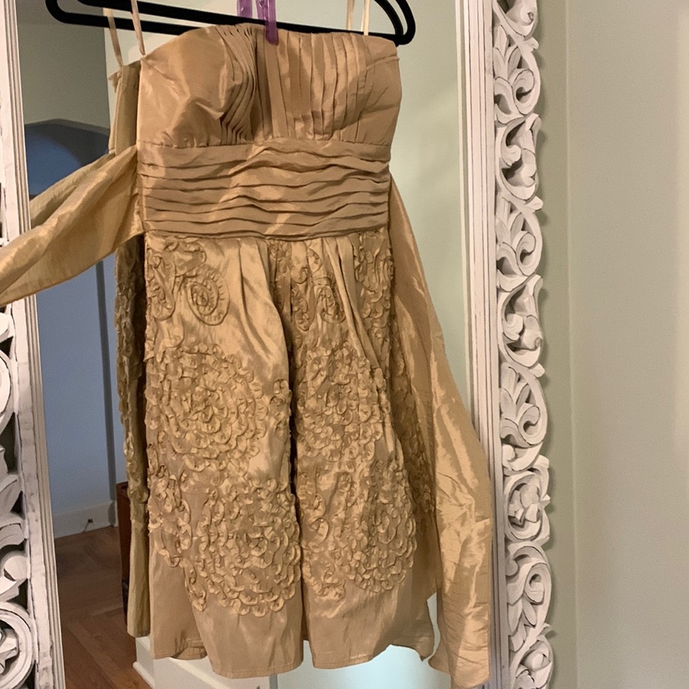 Alyn Paige Gold Strapless Dress